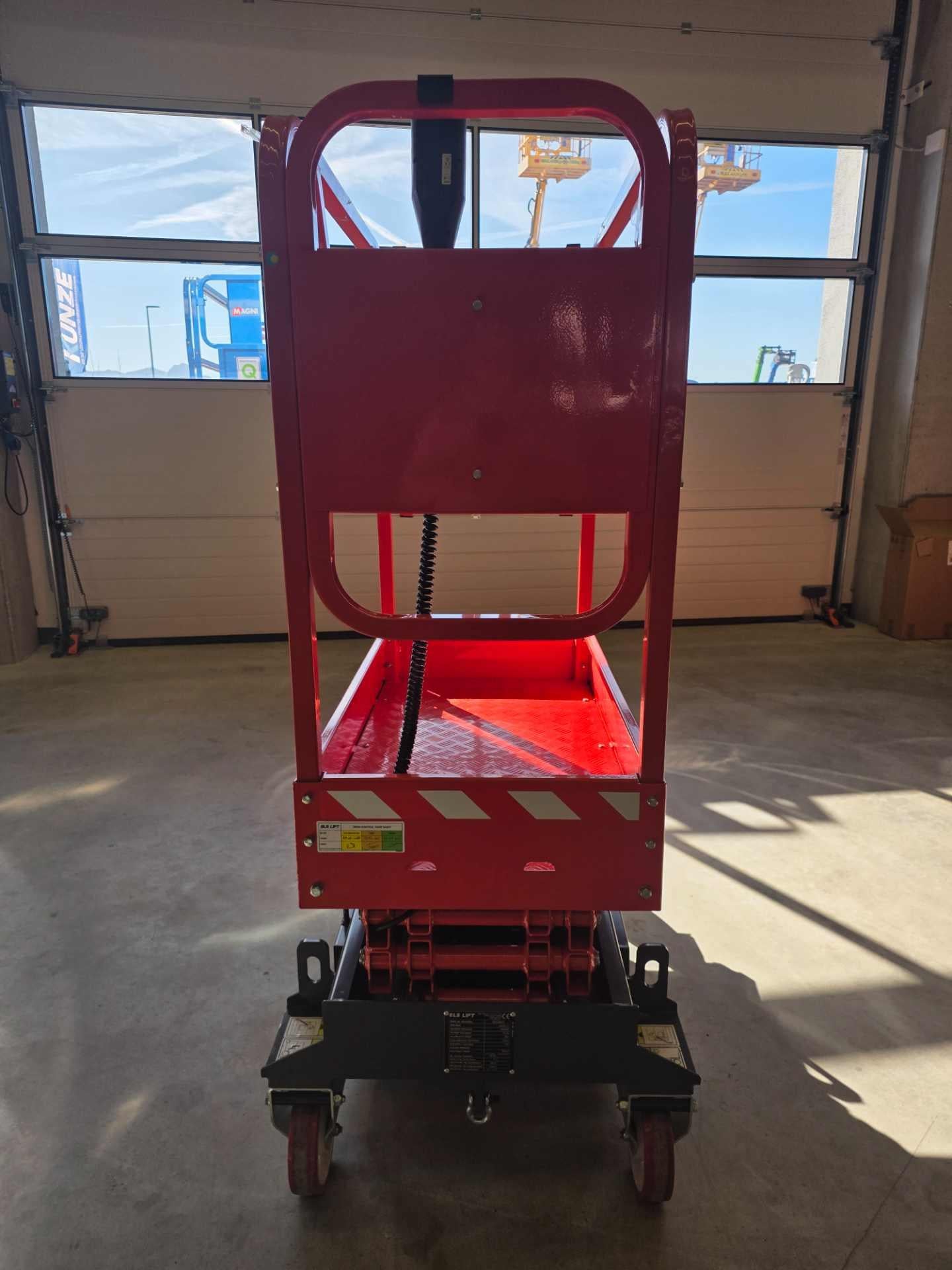 Junior4.5